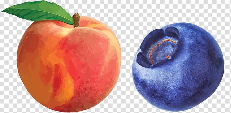 Palisade Peach , blueberries transparent background PNG clipart