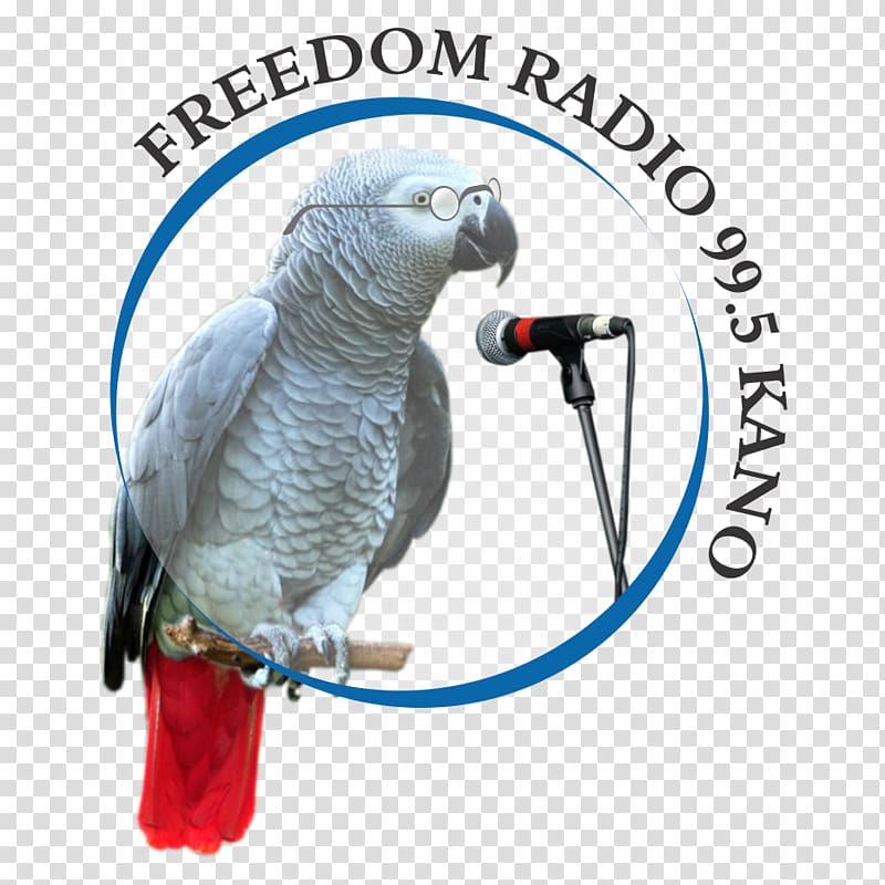 Internet radio Freedom Radio Kano FM broadcasting BBC Hausa, Freedom Radio transparent background PNG clipart