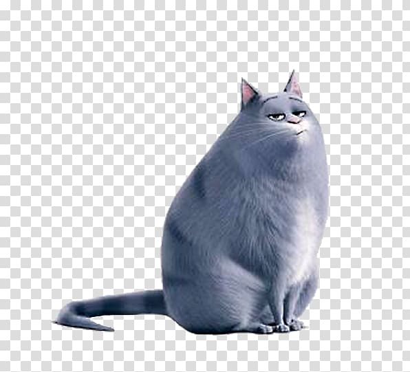 gray cat , Jack Russell Terrier Universal Pet Film Cinema, Big fat cat cartoon creative transparent background PNG clipart