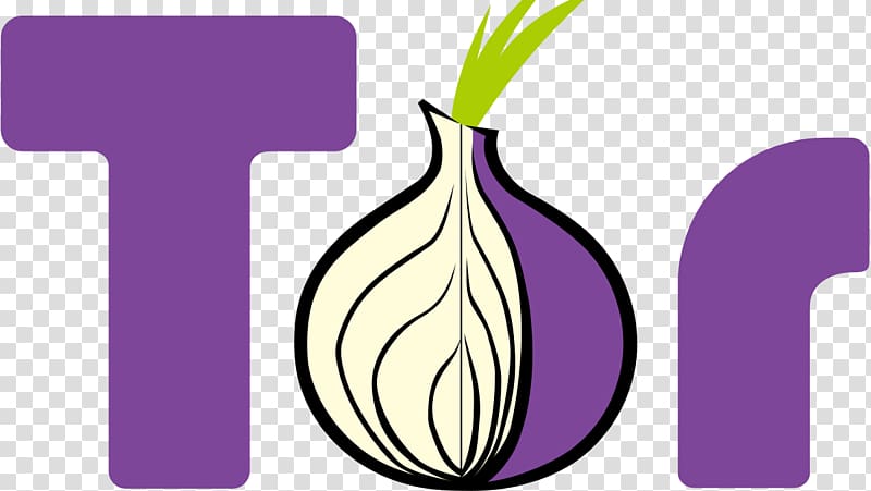 Tor Browser Web browser Anonymity Selenium, onion transparent background PNG clipart