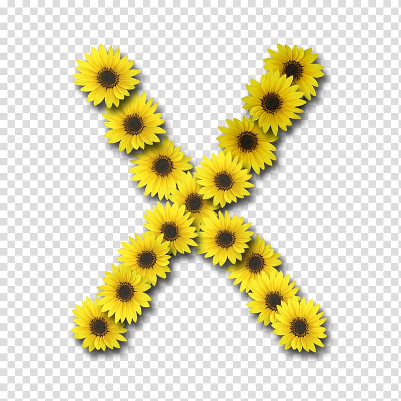 Alphabet Letter Flower X I, sun flower transparent background PNG clipart