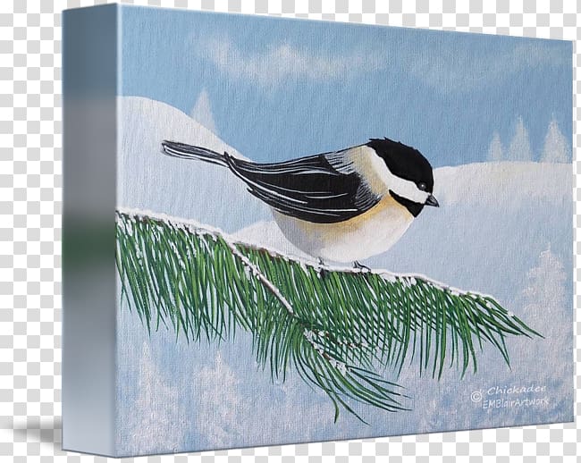 Beak Chickadee Fauna Feather, feather transparent background PNG clipart