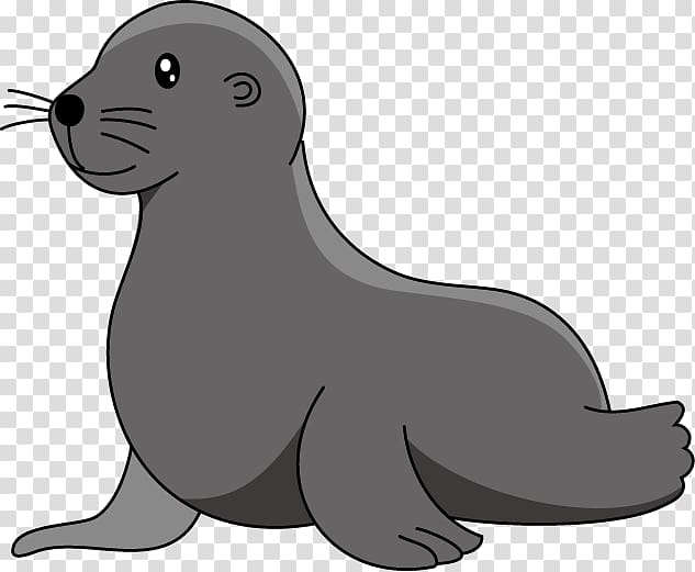 gray sea lion , Baby sea lion Elephant seal , harbor seal transparent background PNG clipart