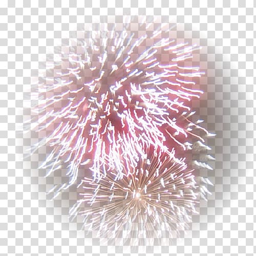 Fireworks Birthday New Year, fireworks transparent background PNG clipart