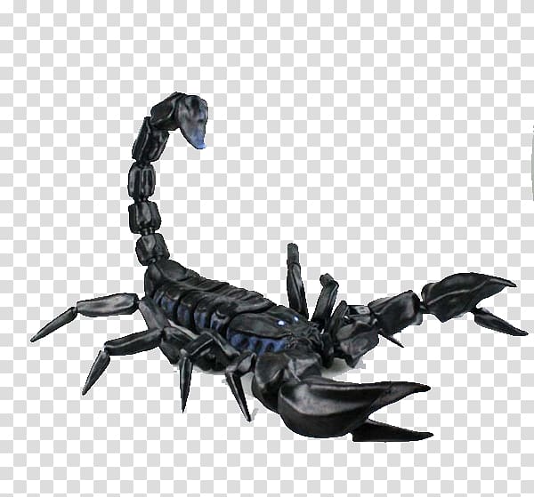 Scorpion 3D printing 3D modeling 3D computer graphics, Black metallic luster realistic scorpion transparent background PNG clipart