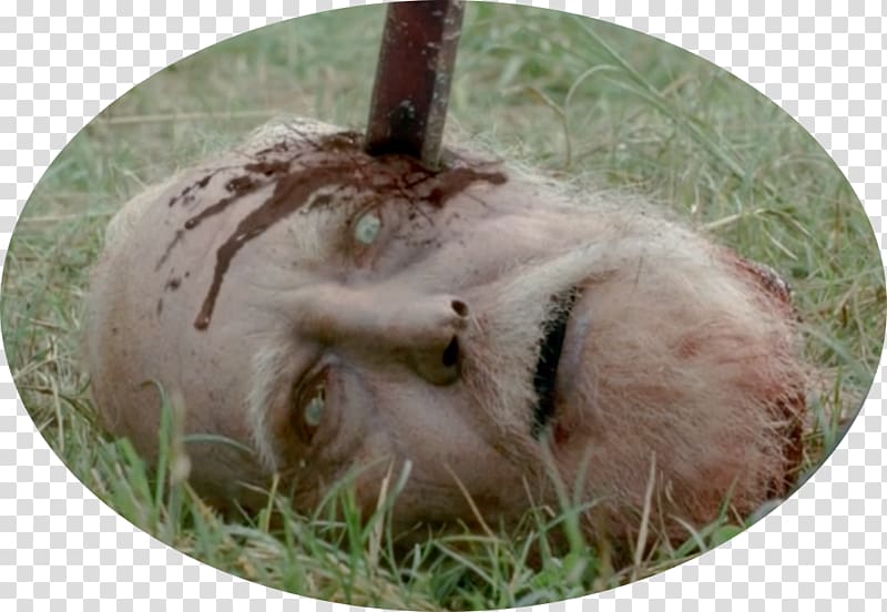 Hershel Greene The Walking Dead: The Final Season The Governor Michonne The Walking Dead, Season 4, dream scene transparent background PNG clipart