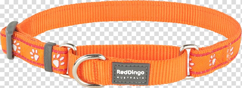 Dog collar Dingo Martingale, Dog transparent background PNG clipart
