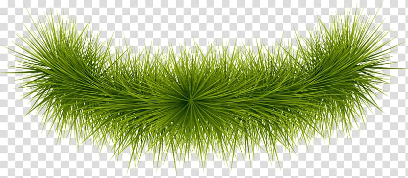 Green Google Gratis, Simple green grass transparent background PNG clipart