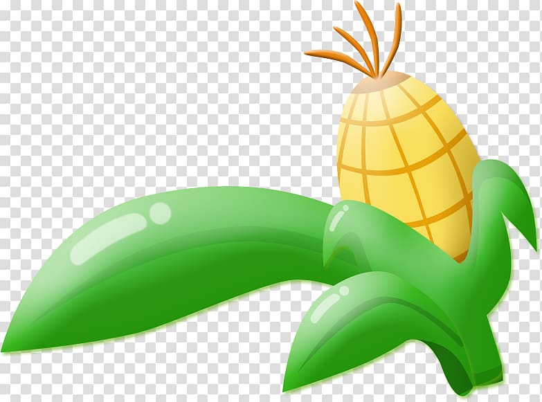 Maize , corn transparent background PNG clipart