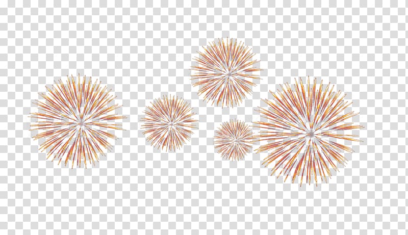 Light Fireworks, fireworks background transparent background PNG clipart