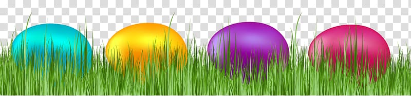Easter Bunny Easter egg , Easter Grass transparent background PNG clipart