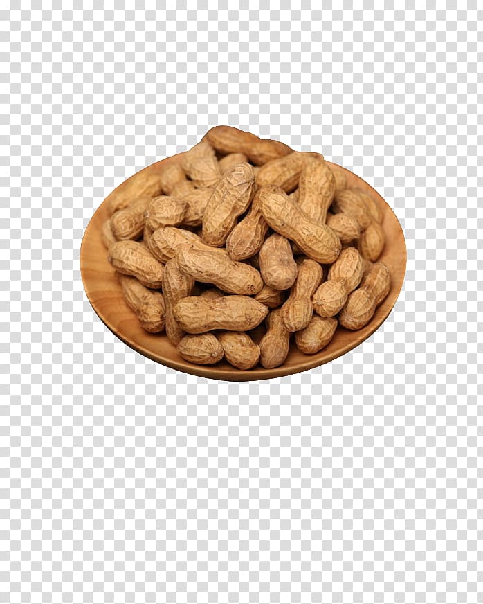 Peanut transparent background PNG clipart