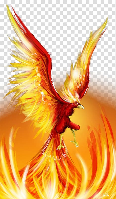 animated red and yellow bird , Phoenix Firebird Cute Birds , Eagle wings fire lines effect transparent background PNG clipart
