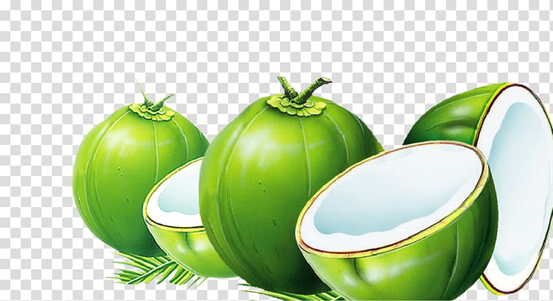 four green coconuts artwork, Dodol Coconut water Nata de coco Coconut milk, coconut transparent background PNG clipart