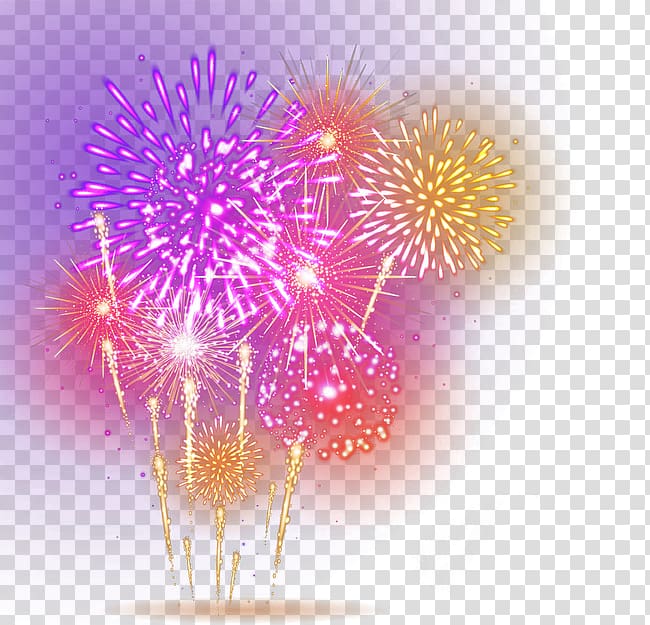 Adobe Fireworks, Fireworks, fireworks display illustration transparent background PNG clipart