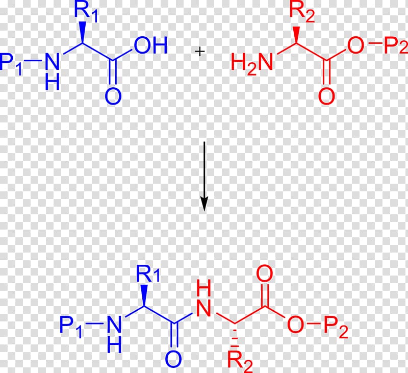 Peptide synthesis Chemical synthesis Merrifield-Synthese Chemistry, Peptide transparent background PNG clipart