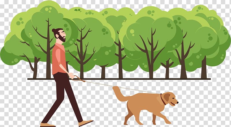 man beside dog walking, Dog walking Dog walking, Walk dogs in the park transparent background PNG clipart