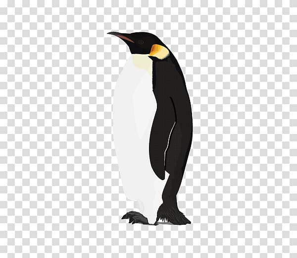 Penguin , Penguin transparent background PNG clipart