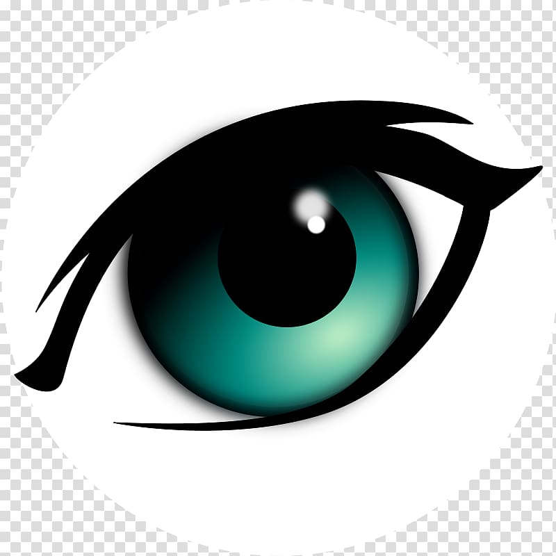 Eye Cartoon Drawing , Animal Eyeball transparent background PNG clipart