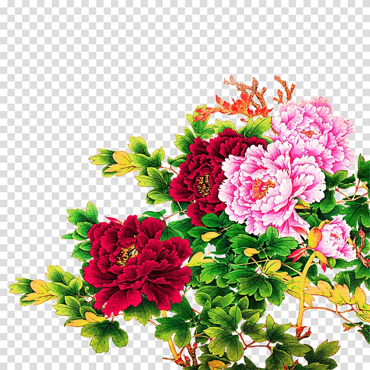 Moutan peony Illustration, Chinese peony transparent background PNG clipart