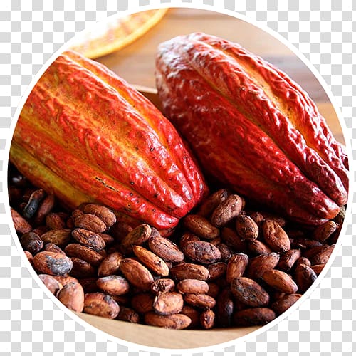 Cacao tree Chocolate Food Cocoa bean bitterness, chocolate transparent background PNG clipart