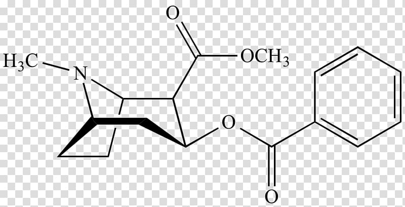 Cocaine Benzoylecgonine Alkaloid Erythroxylum coca Amphetamine, organic chemistry transparent background PNG clipart