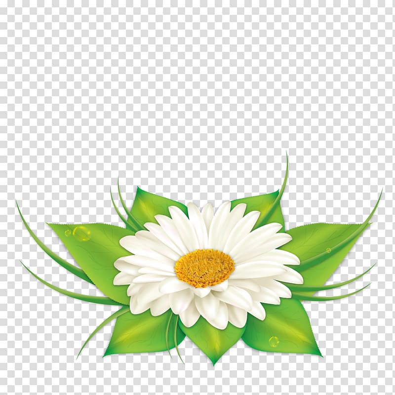 Earth Euclidean , decoration chrysanthemum transparent background PNG clipart