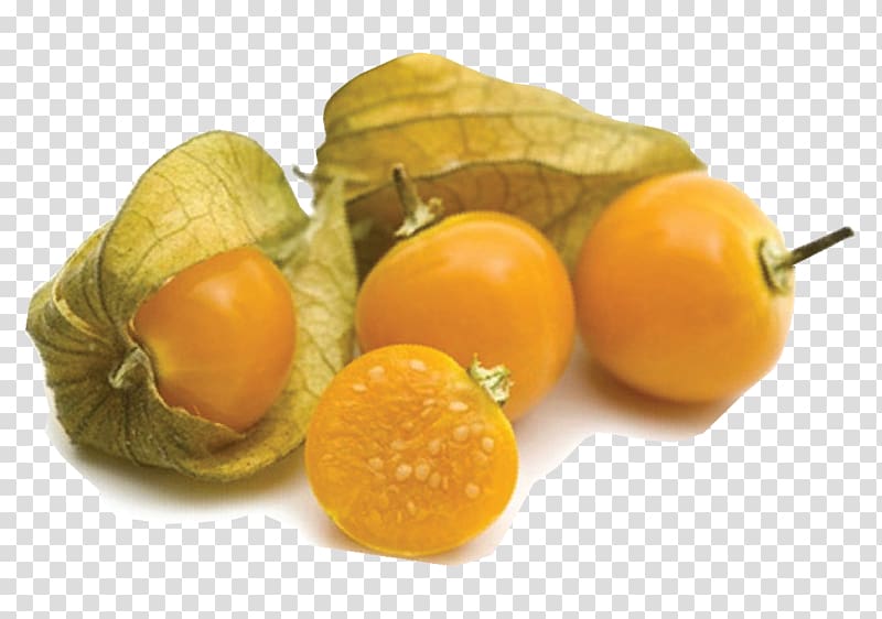 Clementine Peruvian groundcherry Fruit Food Vegetable, Highprotein Diet transparent background PNG clipart