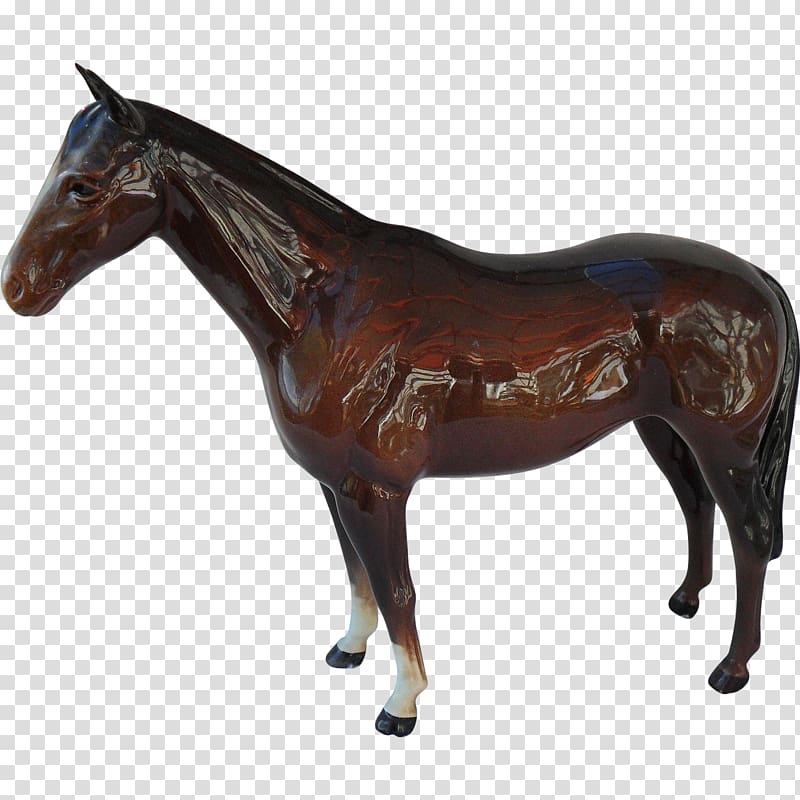 Arabian horse American Quarter Horse Mustang Foal Appaloosa, mustang transparent background PNG clipart