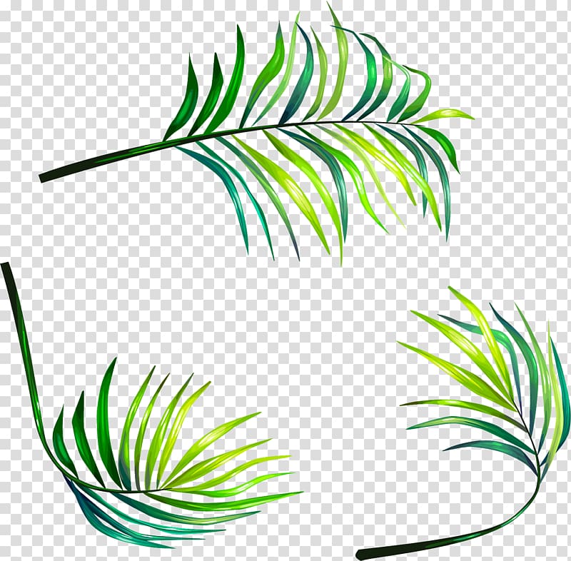 green leaves illustration, Leaf Euclidean , hand-painted leaves transparent background PNG clipart