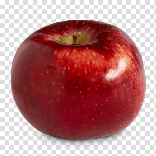 Apple cider Spartan Cortland Fruit, red apple transparent background PNG clipart