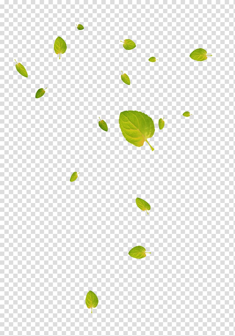 Leaf Google Deciduous , Green and fresh leaves floating material transparent background PNG clipart