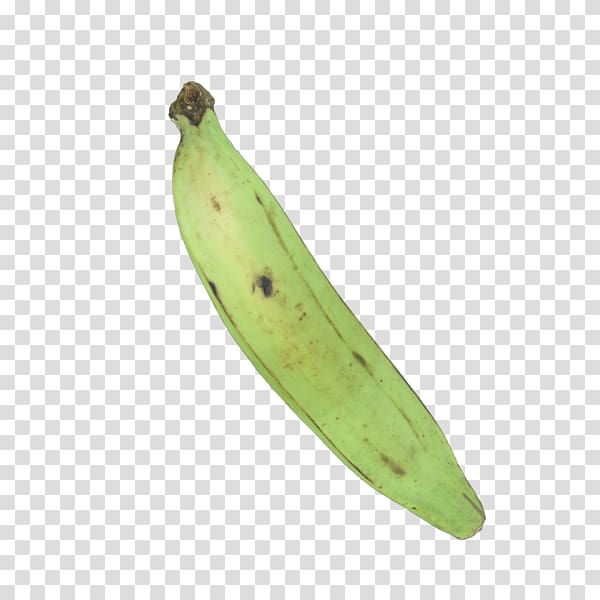 Saba banana Cooking banana Vegetable, Green Banana transparent background PNG clipart