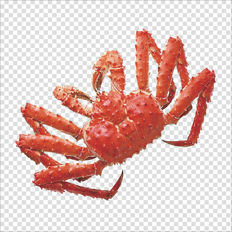 Red king crab Yangcheng Lake, crab transparent background PNG clipart