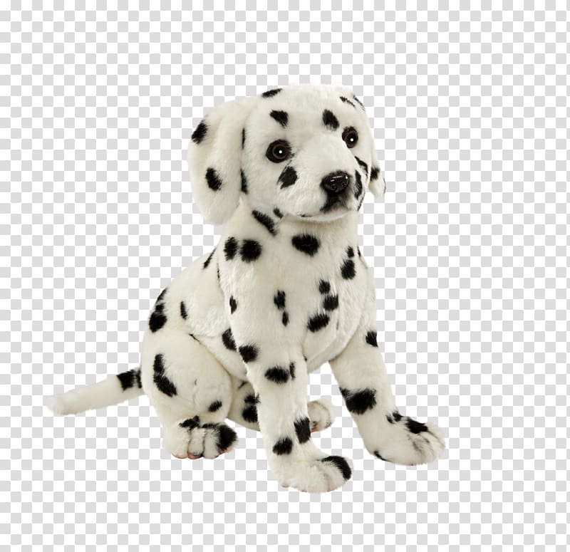 Dalmatian dog Puppy Dog breed Companion dog Non-sporting group, puppy transparent background PNG clipart