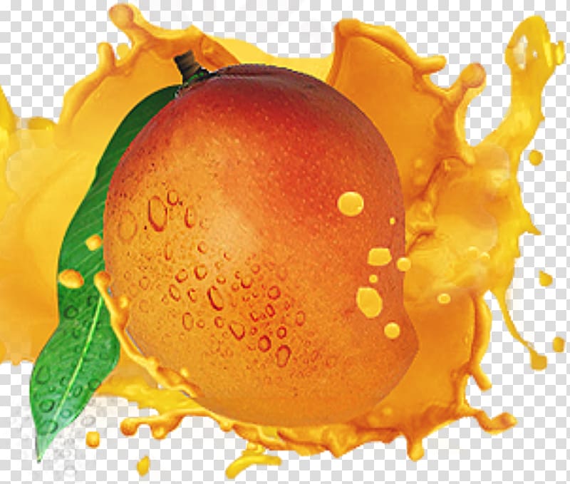 Juice International Mango Festival Milkshake Alphonso, juice transparent background PNG clipart