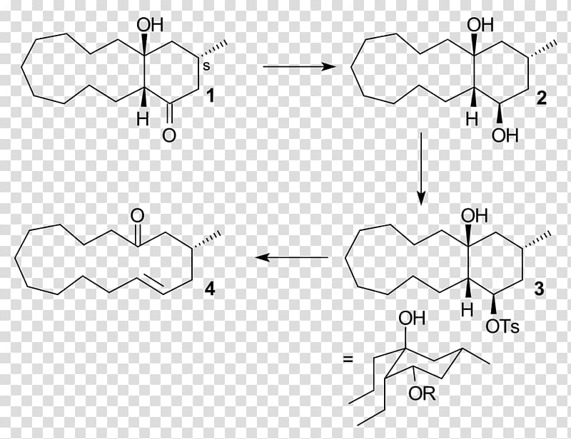 Grob fragmentation Elimination reaction Nucleofuge Chemistry, fragmentation transparent background PNG clipart