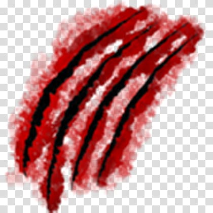 Scars transparent background PNG clipart