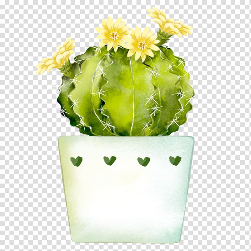 yellow flowered green cactus , Watercolor painting Cactaceae, Cactus potted plants transparent background PNG clipart