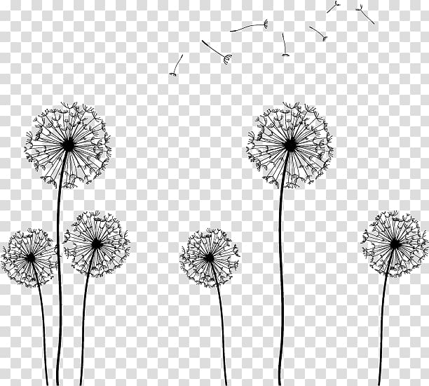 Seed , Dandelion silhouette transparent background PNG clipart