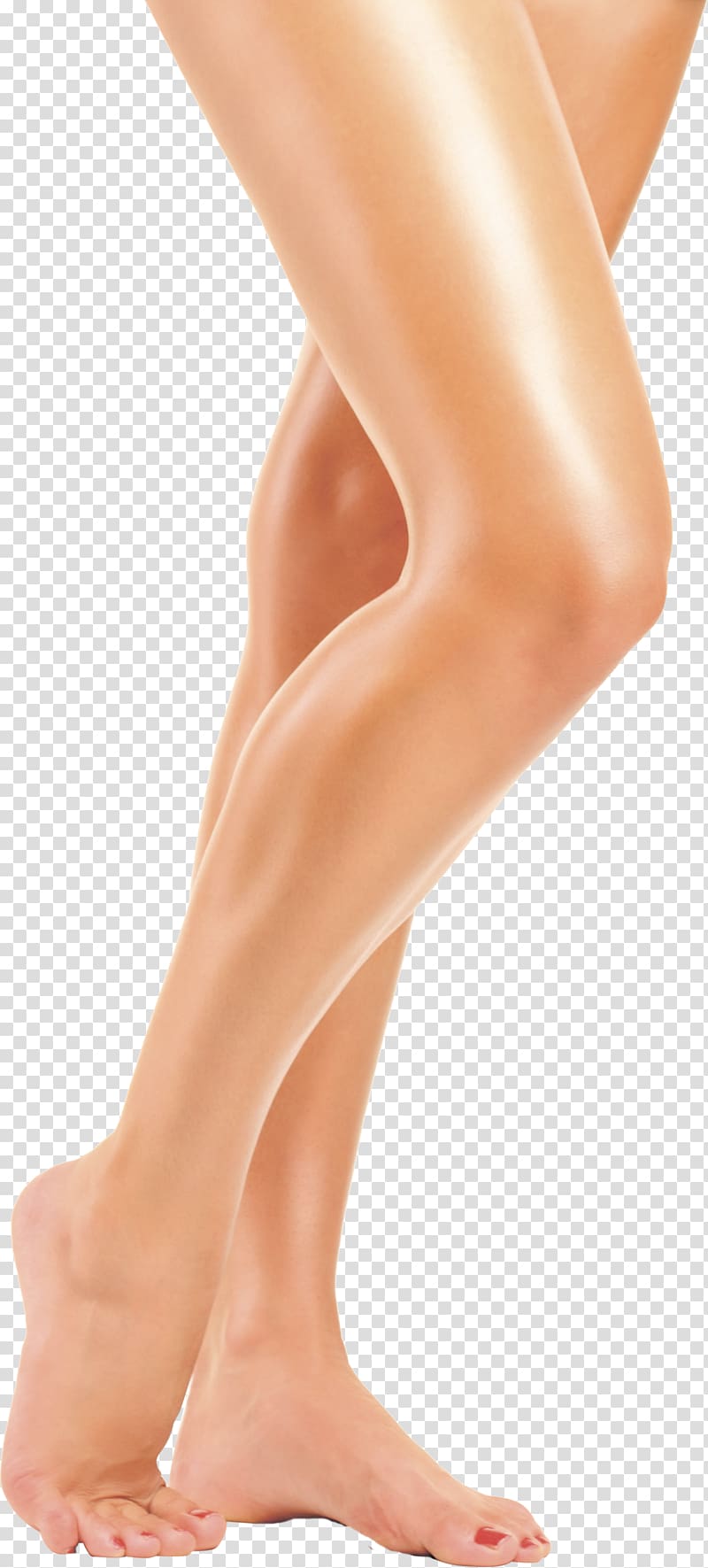 leg legs female legs barefoot transparent background PNG clipart