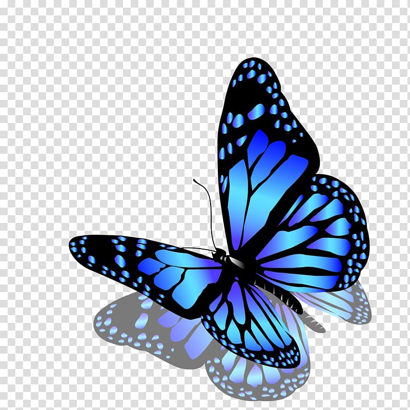 Red butterfly transparent background PNG clipart | HiClipart
