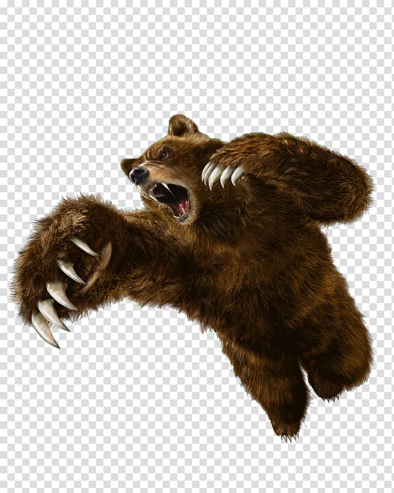 Tekken 6 Street Fighter X Tekken Tekken Tag Tournament 2 Tekken 5: Dark Resurrection, Swoop up ferocious bear transparent background PNG clipart