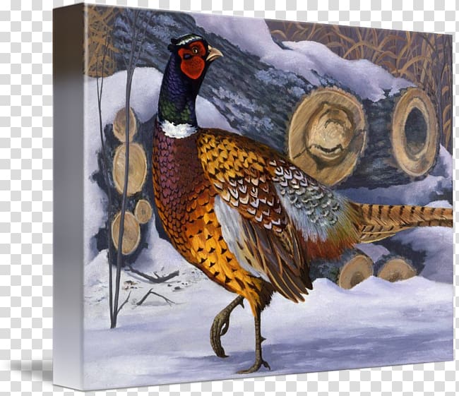 Pheasant Painting Fauna Feather Beak, painting transparent background PNG clipart