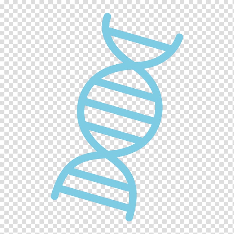 DNA transparent background PNG clipart