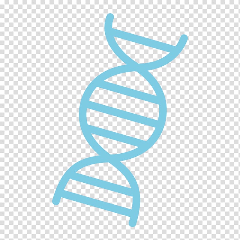 DNA sequencing Genome Nucleic acid sequence, Dna Day transparent background PNG clipart