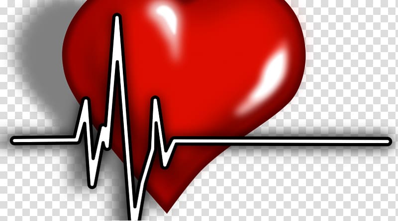 Portable Network Graphics Electrocardiography Heart , ecg book transparent background PNG clipart