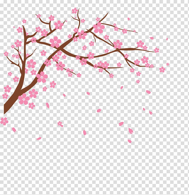 Sakura tree , Cherry blossom , cherry transparent background PNG clipart