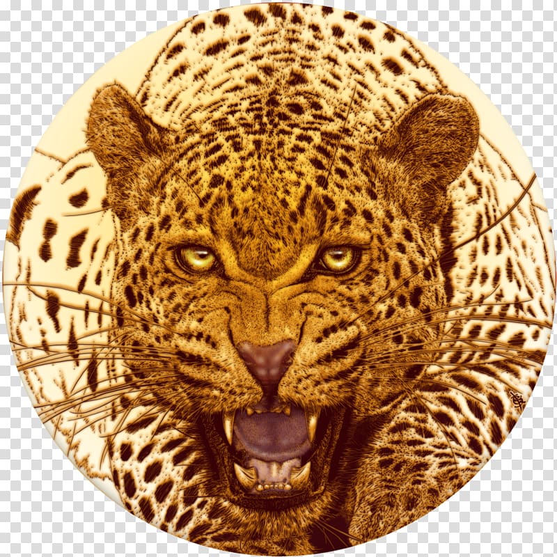 Leopard Cheetah Jaguar Tiger Lion, leopard transparent background PNG clipart