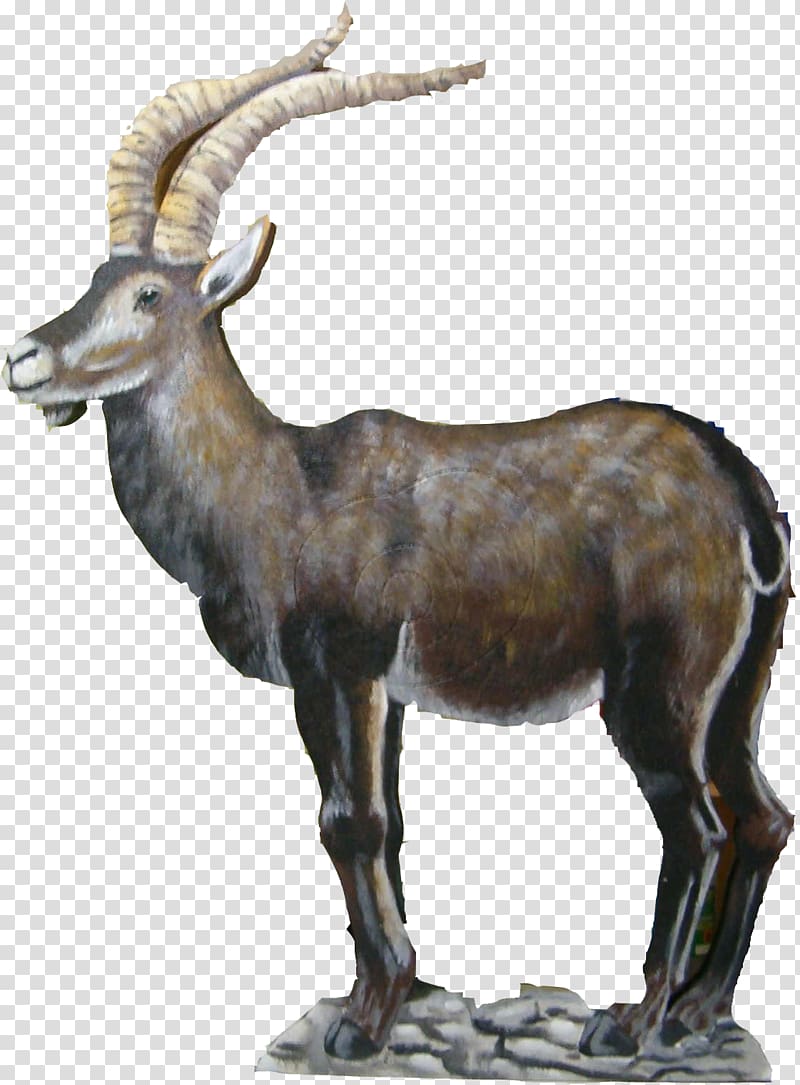 Iberian ibex Deer Argali Alfacar Cabra, deer transparent background PNG clipart